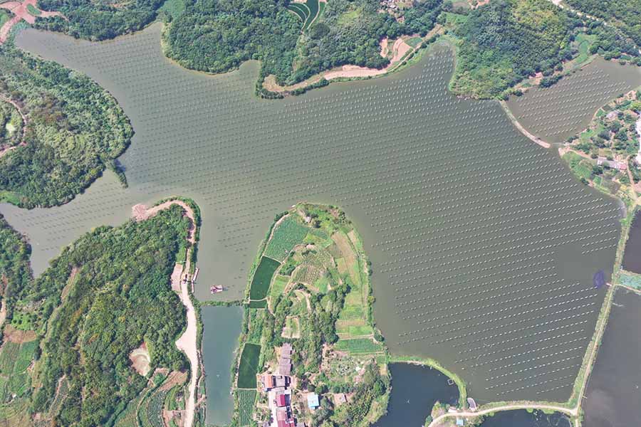 1660895699550085314.jpg 1660895699550085314.jpg