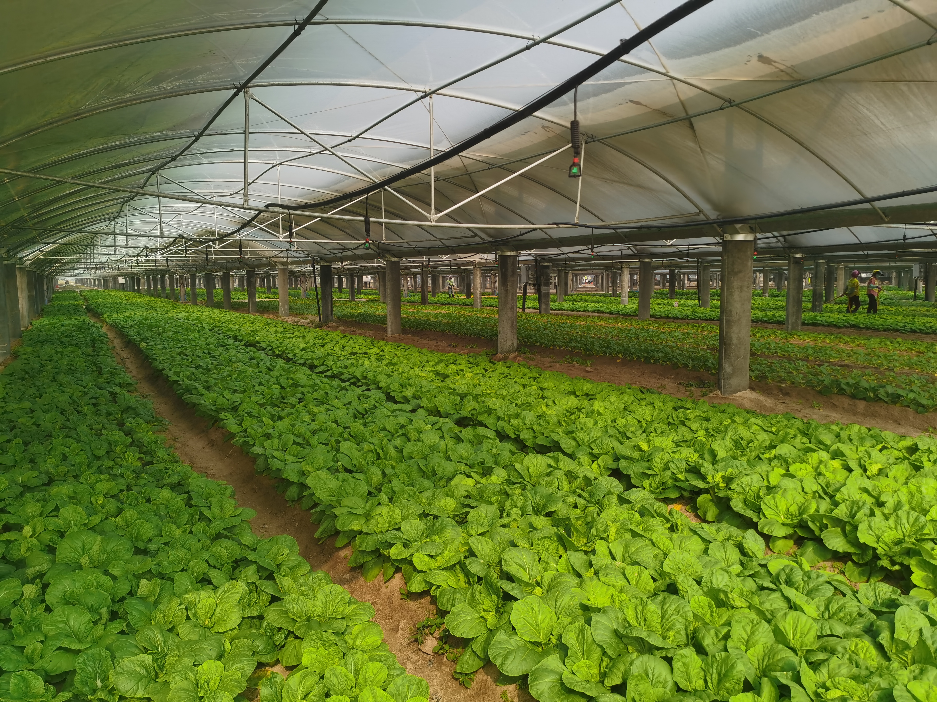 1678411523786075401.jpg 微信图片_20230310092630.jpg