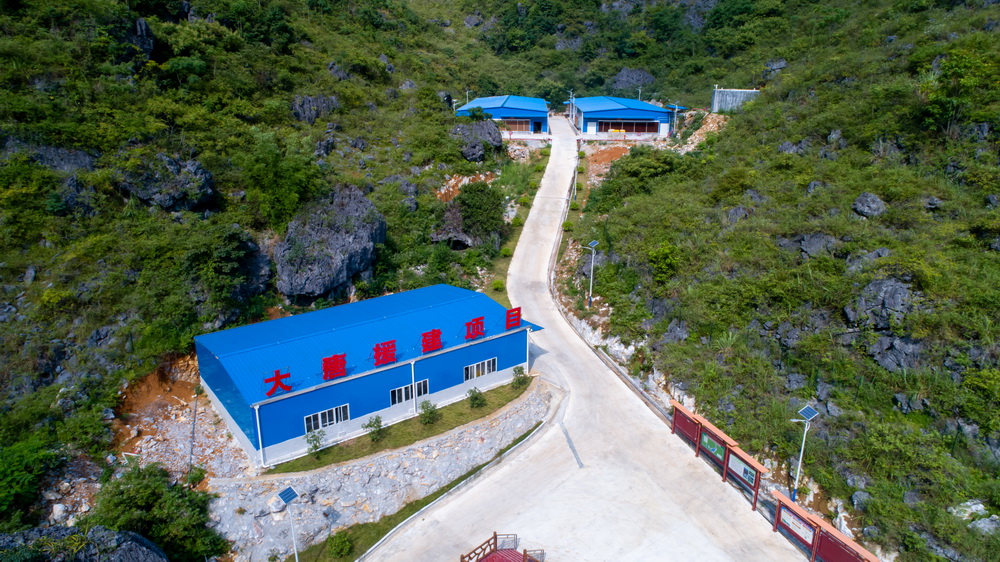 1678857319577037192.jpg p站视频
援建的七百弄鸡种鸡育种场--黄嘉标摄1.jpg