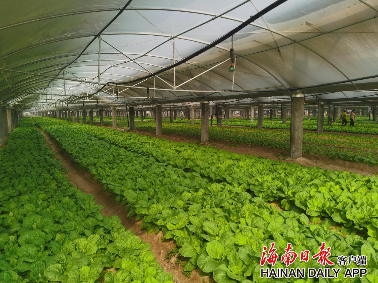 1682471136737018873.png 2c925c66878d1b0d0187b338ef2c0b60.png