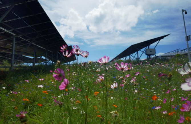 1690269879091061959.png 微信截图_20230725153407.png