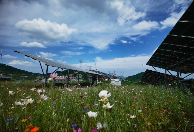 1690269892222024631.png 微信截图_20230725153347.png