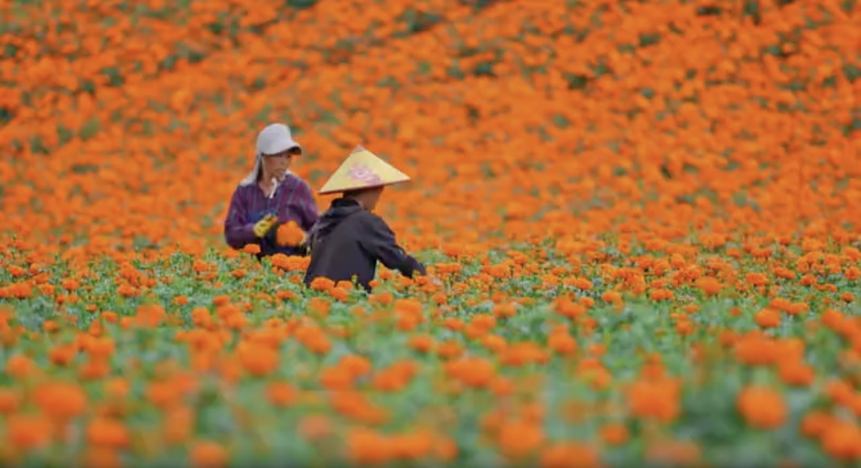 1728543850831061075.png 2.png